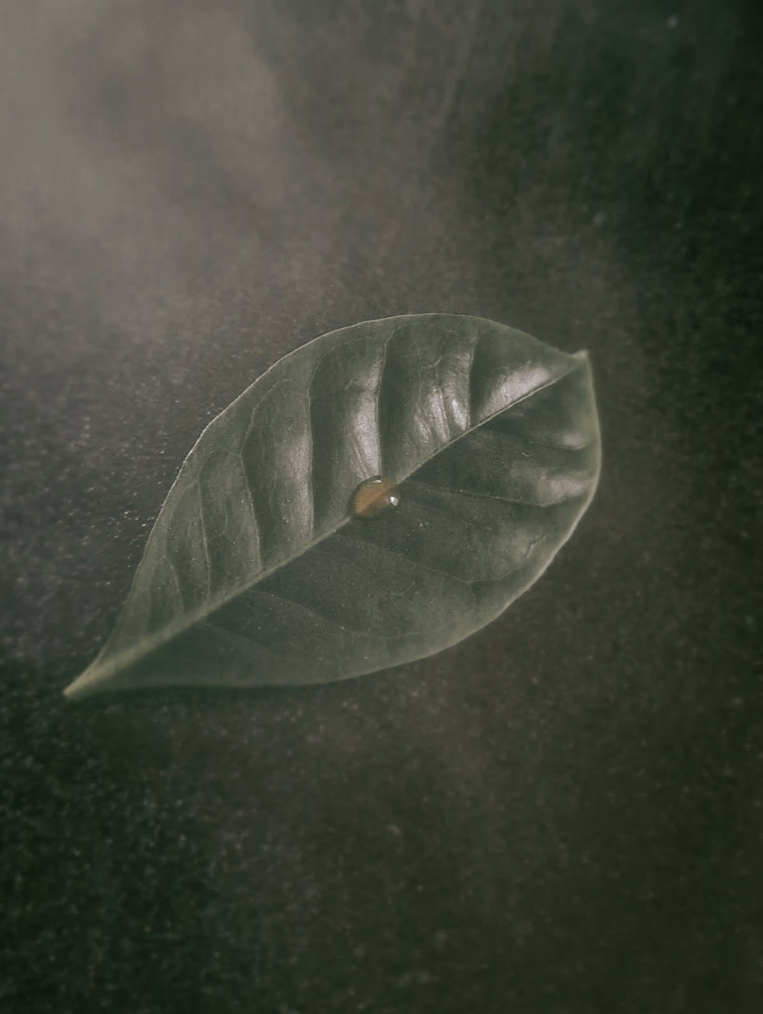 Infused Coffee – A Breakthrough or a Break with Tradition?